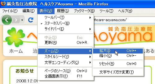 firefox$B$GJ8;z$rBg$-$/$9$k;~$N2hLL?^(B