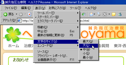 Microsoft Internet Exploler 6で文字を大きくする時の画面図