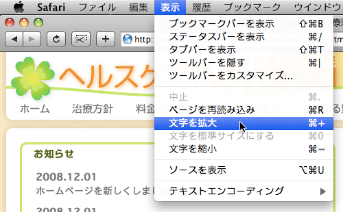 safari$B$GJ8;z$rBg$-$/$9$k;~$N2hLL?^(B